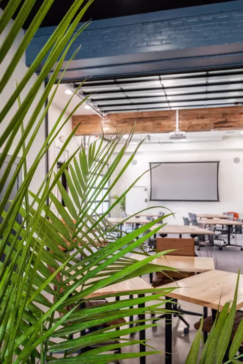 A green leafy plant in the foreground partially obscures a modern coworking space with wooden tables, chairs, and a blank projector screen on the back wall.